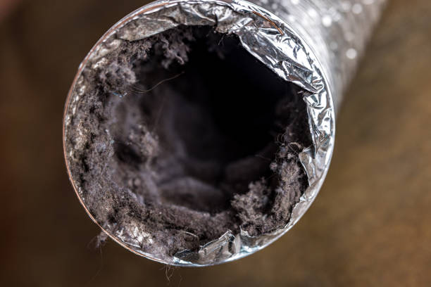 Best Affordable Duct Cleaning Services  in Vernonia, OR