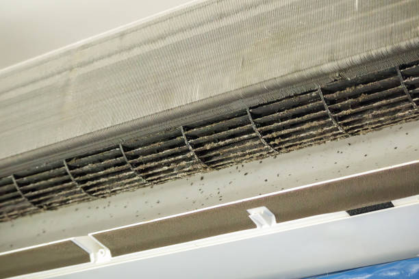Best Home Air Vent Cleaning  in Vernonia, OR
